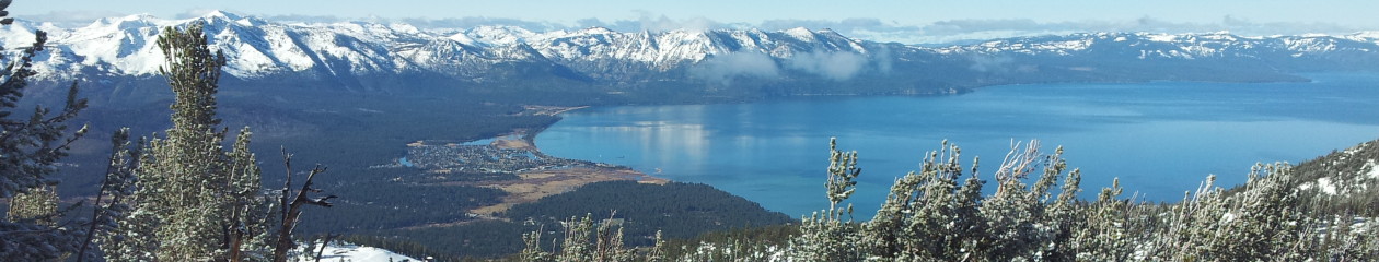 Jezikovna šola Čriček