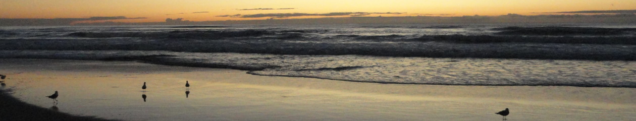 Jezikovna šola Čriček