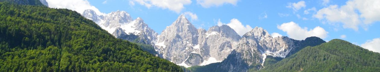 Jezikovna šola Čriček