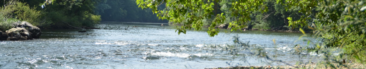 Jezikovna šola Čriček