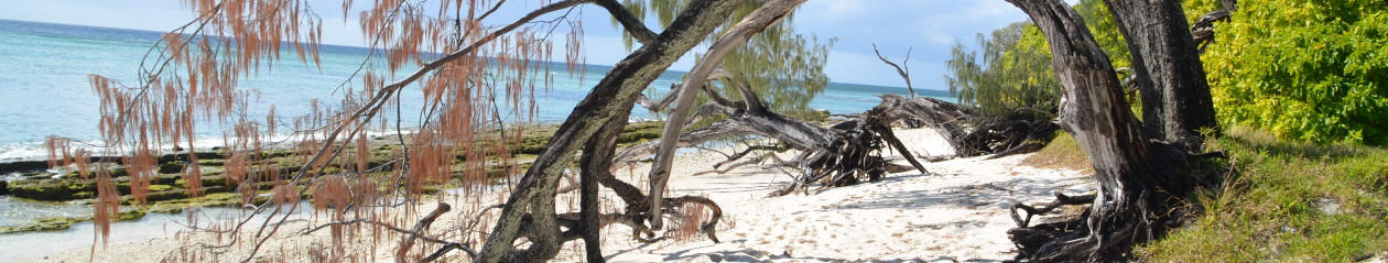 Jezikovna šola Čriček