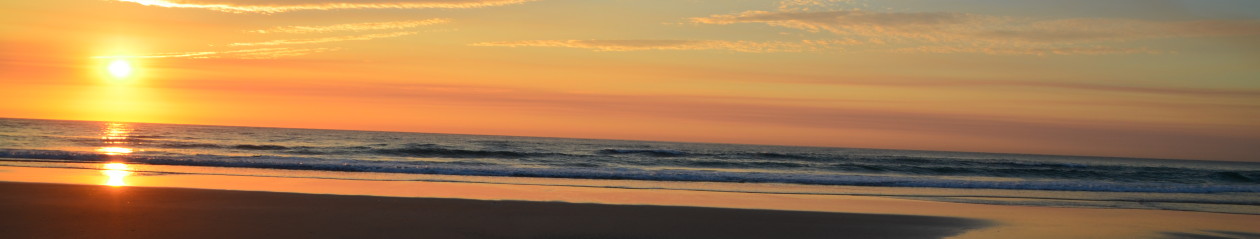 Jezikovna šola Čriček