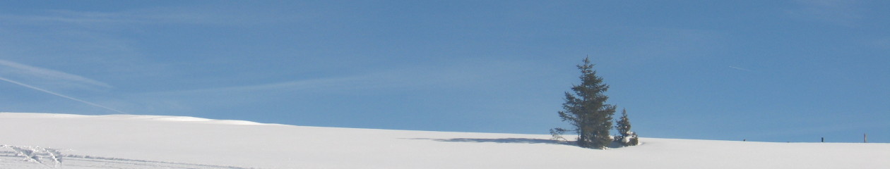 Jezikovna šola Čriček